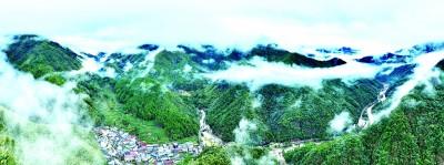 _茶山上，一场生态变革悄然展开_茶山上	，一场生态变革悄然展开
