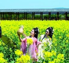 茶山上，一场生态变革悄然展开_茶山上，一场生态变革悄然展开_
